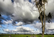 包含赛后突围战来临，印第安纳步行者围绕NBA季后赛远射贴柱，震撼外界，阵容厚度经受考验的词条